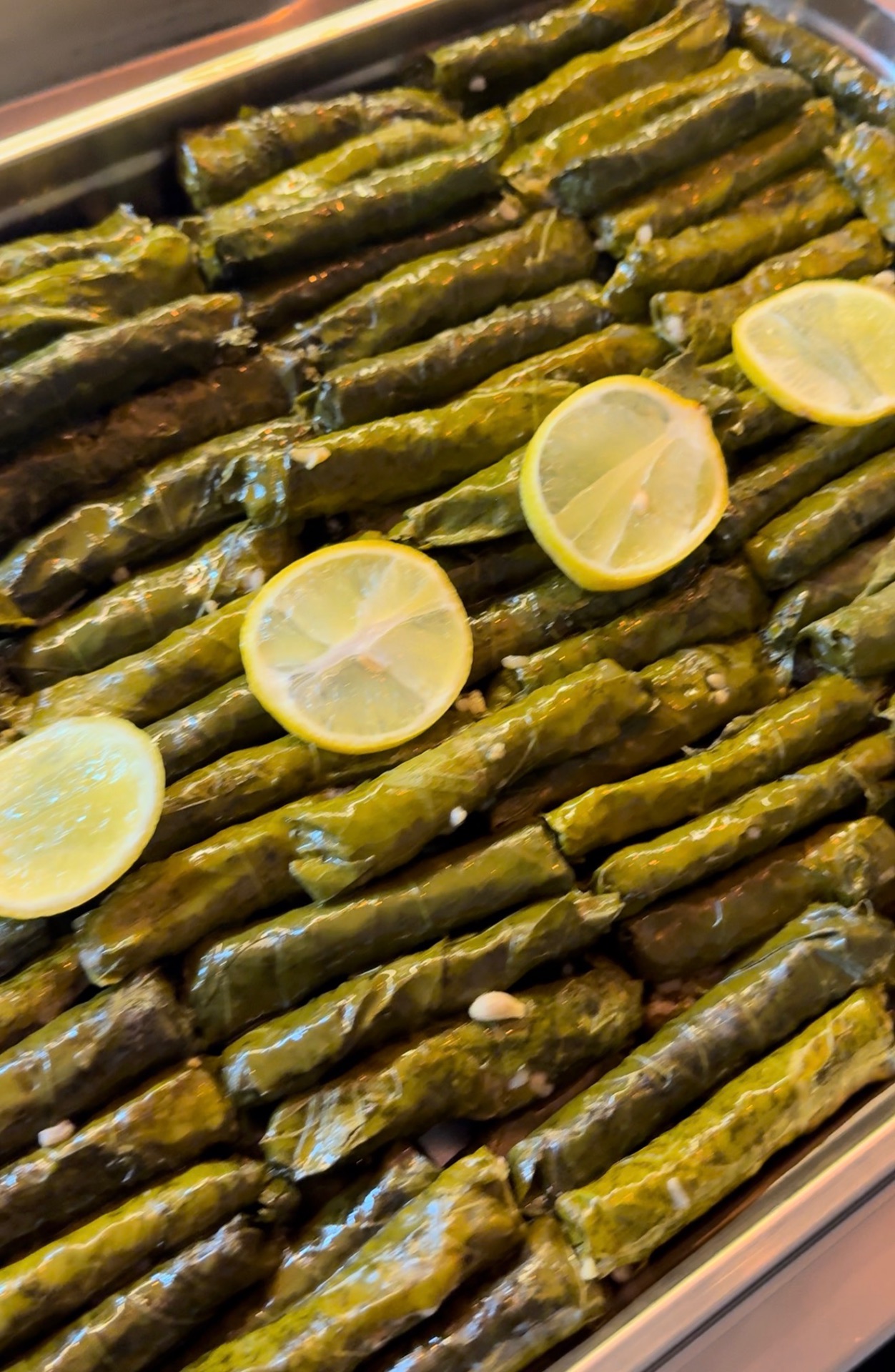 Frische Weinblätter Sarma mit Zitrone